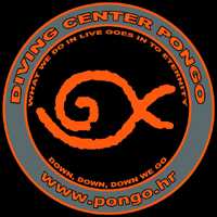 cw_pongo_diving_logo_200x200.jpg?t=1H1Anl